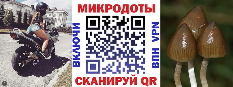 Псилоцибиновые грибы Psilocybine cubensis  Купить  Медногорск 